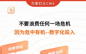 不要浪費任何一場危機，因為危中有機--數字化投入